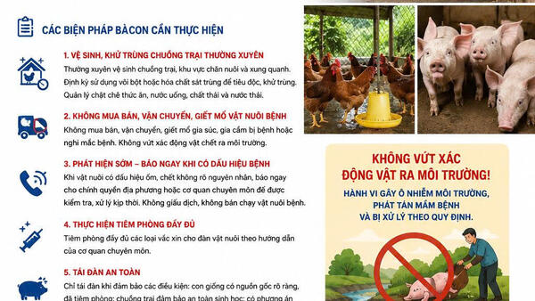 CHỦ ĐỘNG PHÒNG, CHỐNG DỊCH TẢ LỢN CHÂU PHI, BỆNH CÚM GIA CẦM